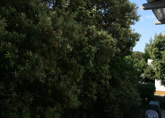 Apartmán With Parking Space Mandre, Pag - 6405 Kolan